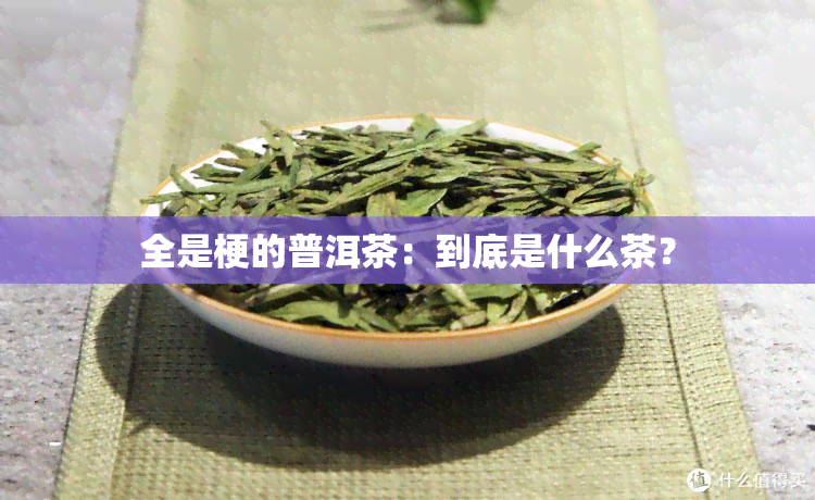 全是梗的普洱茶：到底是什么茶？