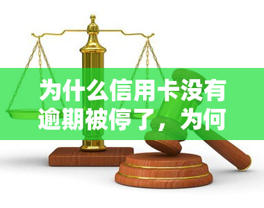 为什么信用卡没有逾期被停了，为何未逾期的信用卡突然被停用？原因解析