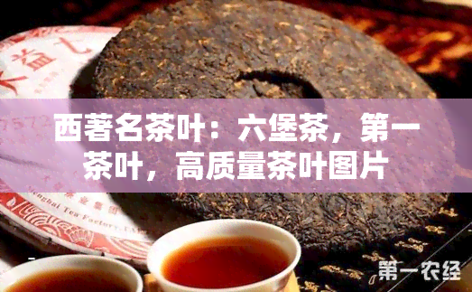 西著名茶叶：六堡茶，之一茶叶，高质量茶叶图片