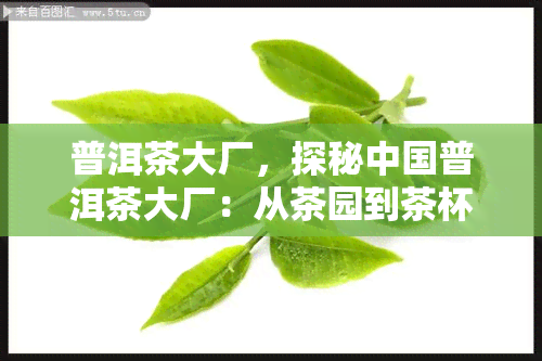 普洱茶大厂，探秘中国普洱茶大厂：从茶园到茶杯的全过程解析