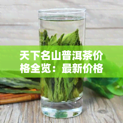 天下名山普洱茶价格全览：最新价格表及市场行情