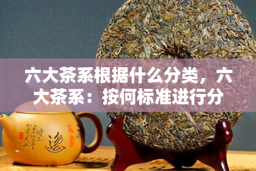 六大茶系根据什么分类，六大茶系：按何标准进行分类？