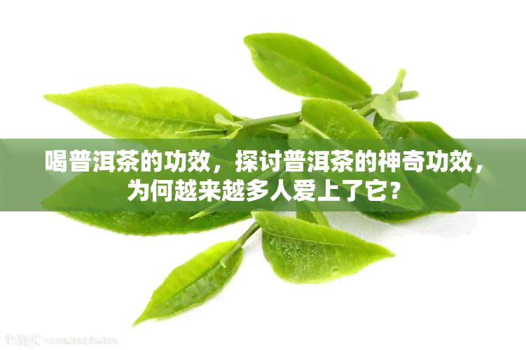 喝普洱茶的功效，探讨普洱茶的神奇功效，为何越来越多人爱上了它？