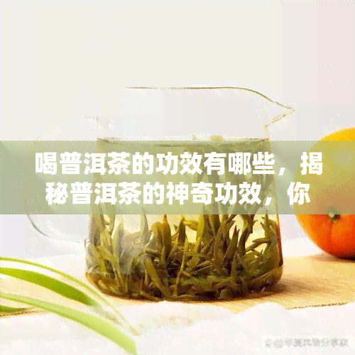 喝普洱茶的功效有哪些，揭秘普洱茶的神奇功效，你一定要知道！