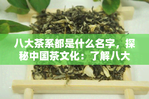 八大茶系都是什么名字，探秘中国茶文化：了解八大茶系的名称与特点