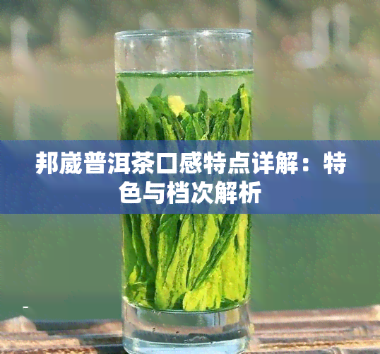 邦崴普洱茶口感特点详解：特色与档次解析