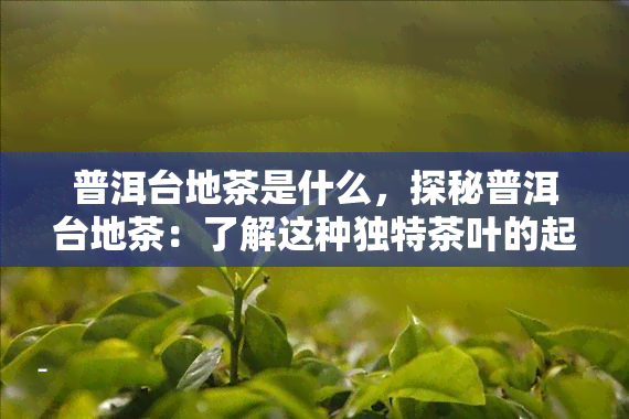 普洱台地茶是什么，探秘普洱台地茶：了解这种独特茶叶的起源和特点