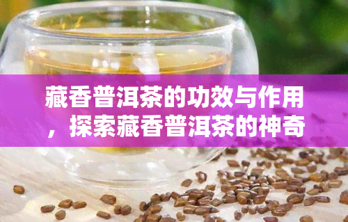 藏香普洱茶的功效与作用，探索藏香普洱茶的神奇功效与作用