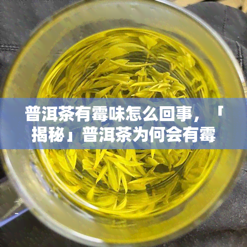 普洱茶有霉味怎么回事，「揭秘」普洱茶为何会有霉味？影响口感的因素有哪些？