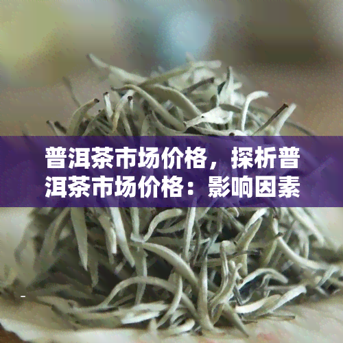 普洱茶市场价格，探析普洱茶市场价格：影响因素与趋势分析