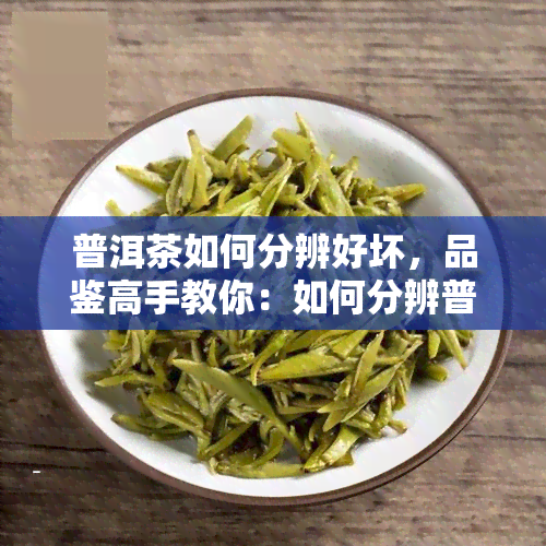 普洱茶如何分辨好坏，品鉴高手教你：如何分辨普洱茶的优劣？