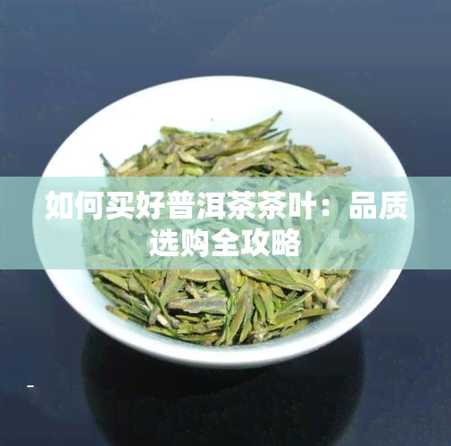 如何买好普洱茶茶叶：品质选购全攻略