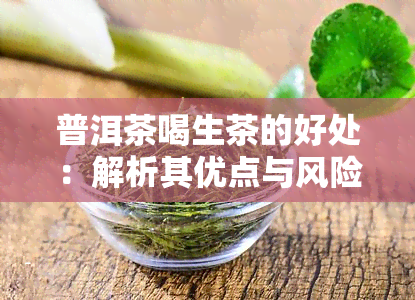 普洱茶喝生茶的好处：解析其优点与风险