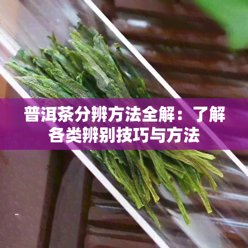 普洱茶分辨方法全解：了解各类辨别技巧与方法