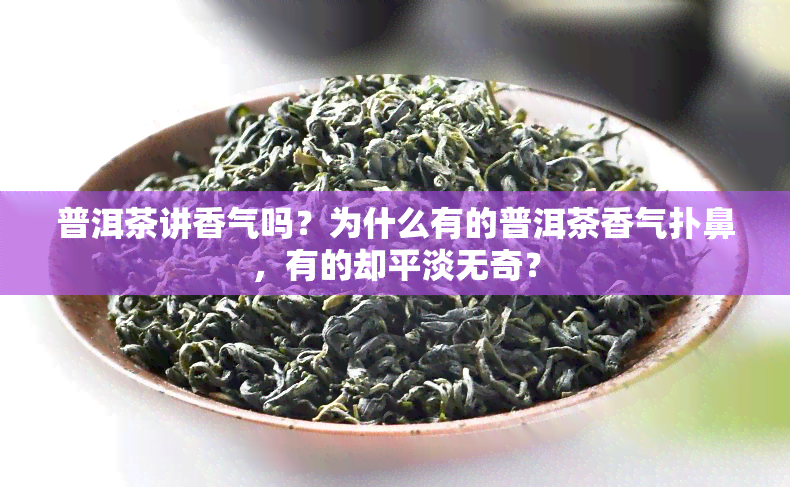 普洱茶讲香气吗？为什么有的普洱茶香气扑鼻，有的却平淡无奇？