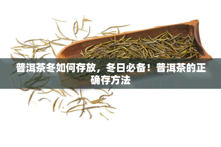 普洱茶冬如何存放，冬日必备！普洱茶的正确存方法