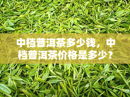 中档普洱茶多少钱，中档普洱茶价格是多少？一份详细的市场分析报告