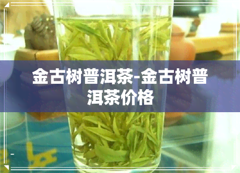 金古树普洱茶-金古树普洱茶价格