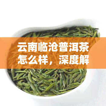 云南临沧普洱茶怎么样，深度解析：云南临沧普洱茶的口感与品质如何？