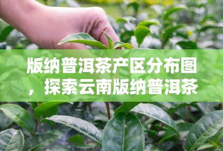 版纳普洱茶产区分布图，探索云南版纳普洱茶的产区分布全貌