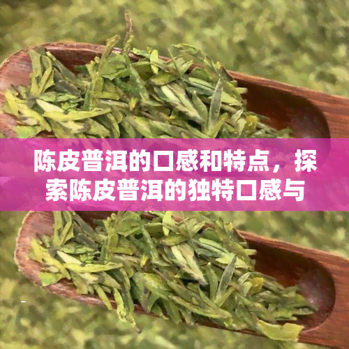 陈皮普洱的口感和特点，探索陈皮普洱的独特口感与特点