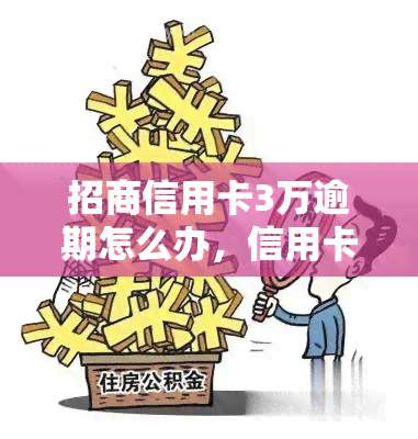 招商信用卡3万逾期怎么办，信用卡逾期3万元，应该怎么办？——招商银行的解决方案