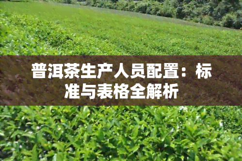 普洱茶生产人员配置：标准与表格全解析