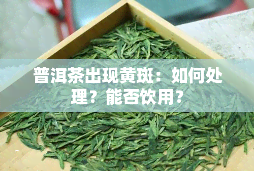 普洱茶出现黄斑：如何处理？能否饮用？