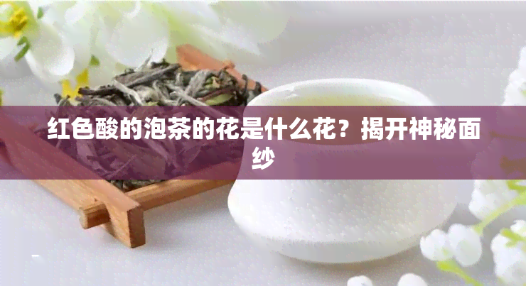 红色酸的泡茶的花是什么花？揭开神秘面纱