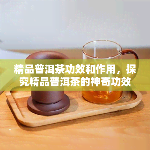 精品普洱茶功效和作用，探究精品普洱茶的神奇功效与作用