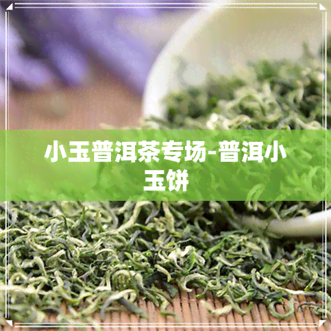 小玉普洱茶专场-普洱小玉饼