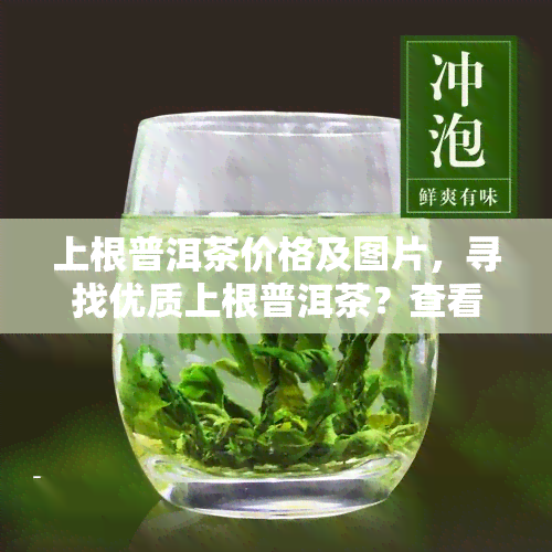 上根普洱茶价格及图片，寻找优质上根普洱茶？查看最新价格与图片！