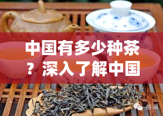 中国有多少种茶？深入了解中国传统茶叶文化