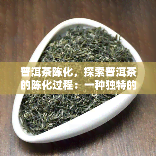 普洱茶陈化，探索普洱茶的陈化过程：一种独特的茶叶老化方式