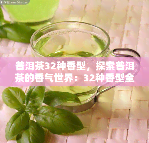 普洱茶32种香型，探索普洱茶的香气世界：32种香型全解析