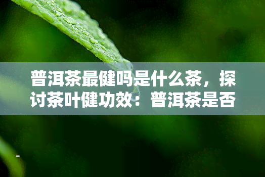 普洱茶最健吗是什么茶，探讨茶叶健功效：普洱茶是否最为有益？