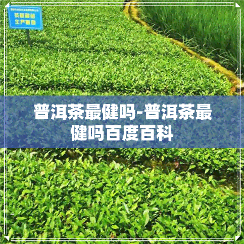 普洱茶最健吗-普洱茶最健吗百度百科