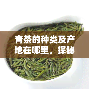 青茶的种类及产地在哪里，探秘青茶：种类与产地解析