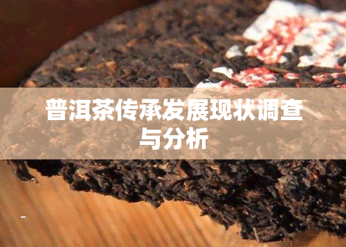 普洱茶传承发展现状调查与分析