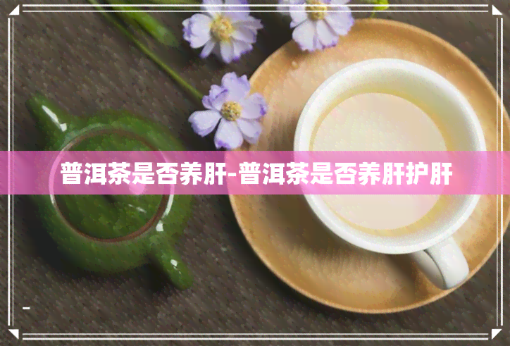 普洱茶是否养肝-普洱茶是否养肝护肝