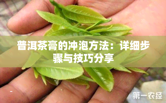 普洱茶膏的冲泡方法：详细步骤与技巧分享