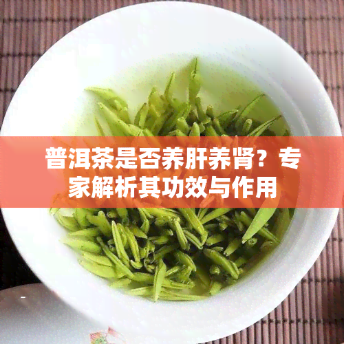 普洱茶是否养肝养肾？专家解析其功效与作用