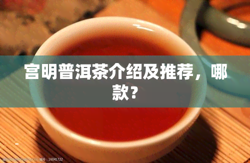 宫明普洱茶介绍及推荐，哪款？