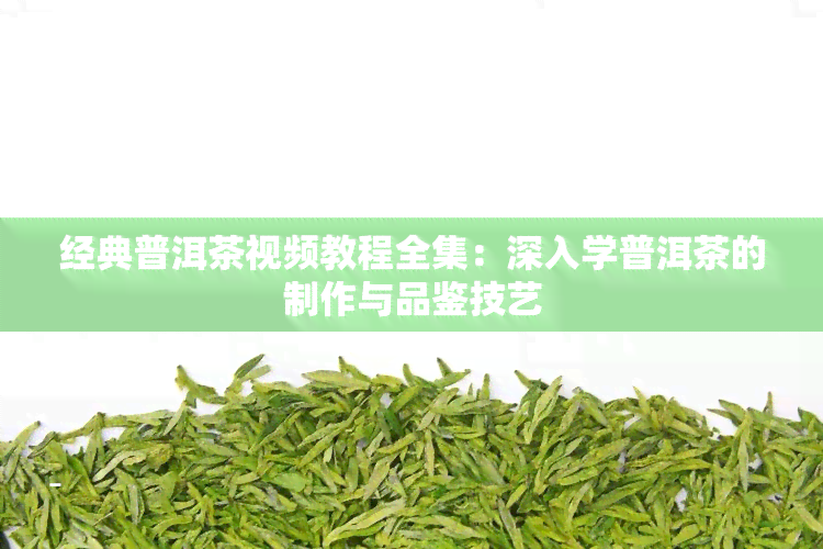 经典普洱茶视频教程全集：深入学普洱茶的制作与品鉴技艺