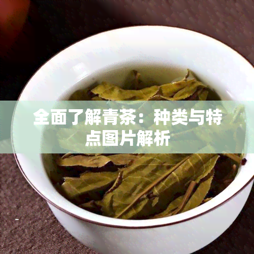 全面了解青茶：种类与特点图片解析