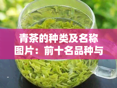 青茶的种类及名称图片：前十名品种与价格一览