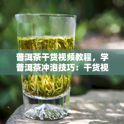 普洱茶干货视频教程，学普洱茶冲泡技巧：干货视频教程