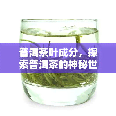 普洱茶叶成分，探索普洱茶的神秘世界：剖析其独特成分与健益处