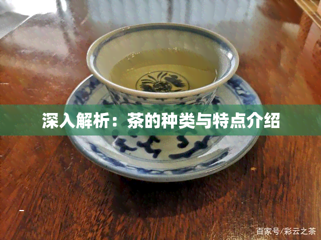 深入解析：茶的种类与特点介绍