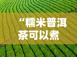 “糯米普洱茶可以煮吗？如何煮？怎么喝？”